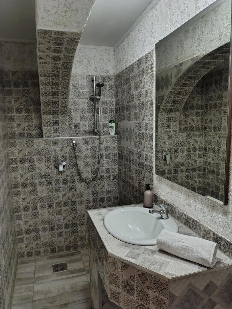 Vis Pension Viile Satu Mare Exterior foto