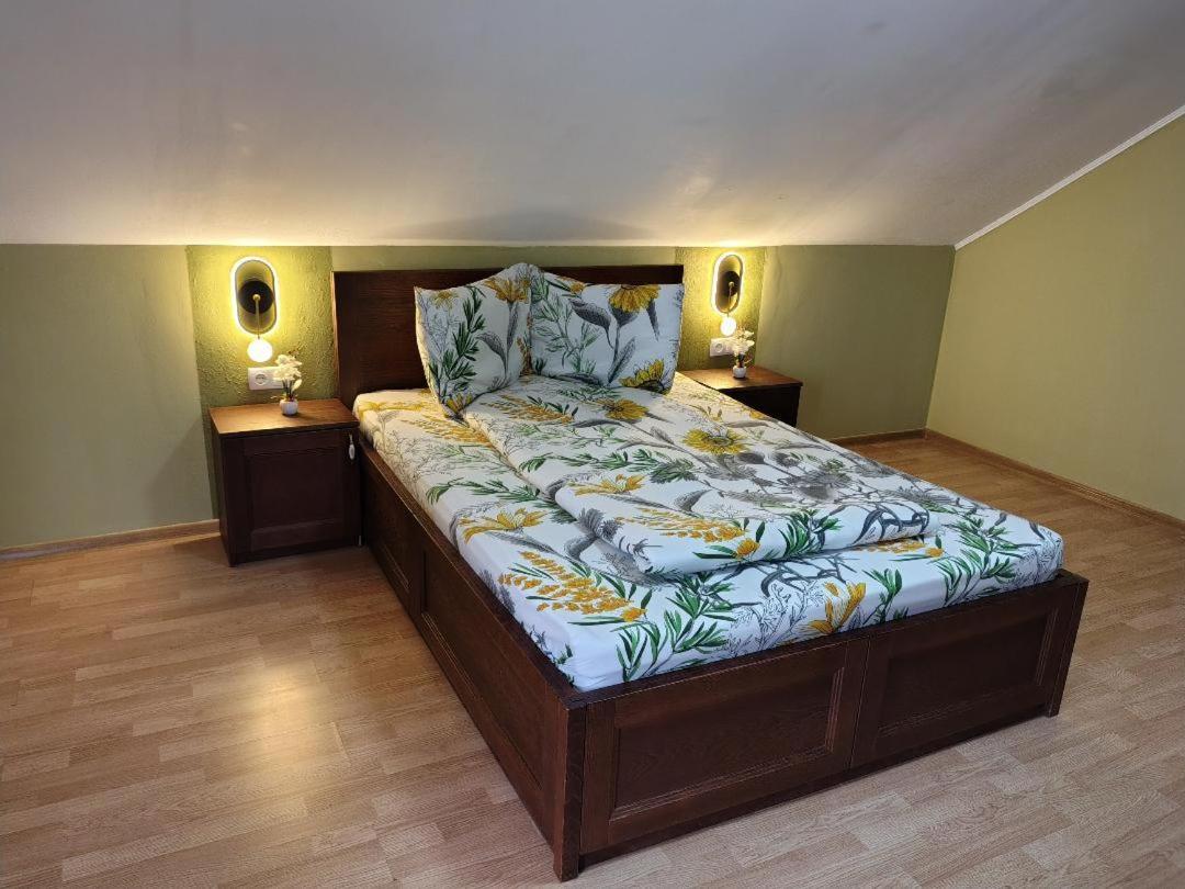 Vis Pension Viile Satu Mare Exterior foto