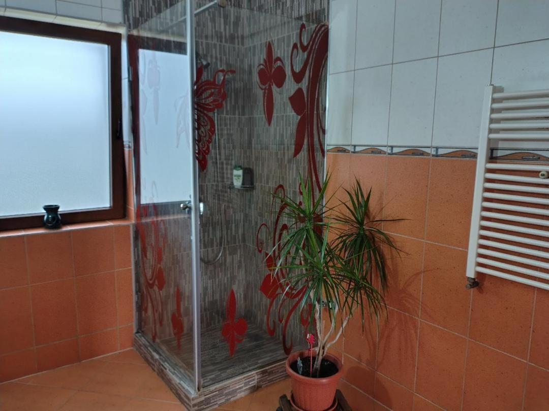 Vis Pension Viile Satu Mare Exterior foto