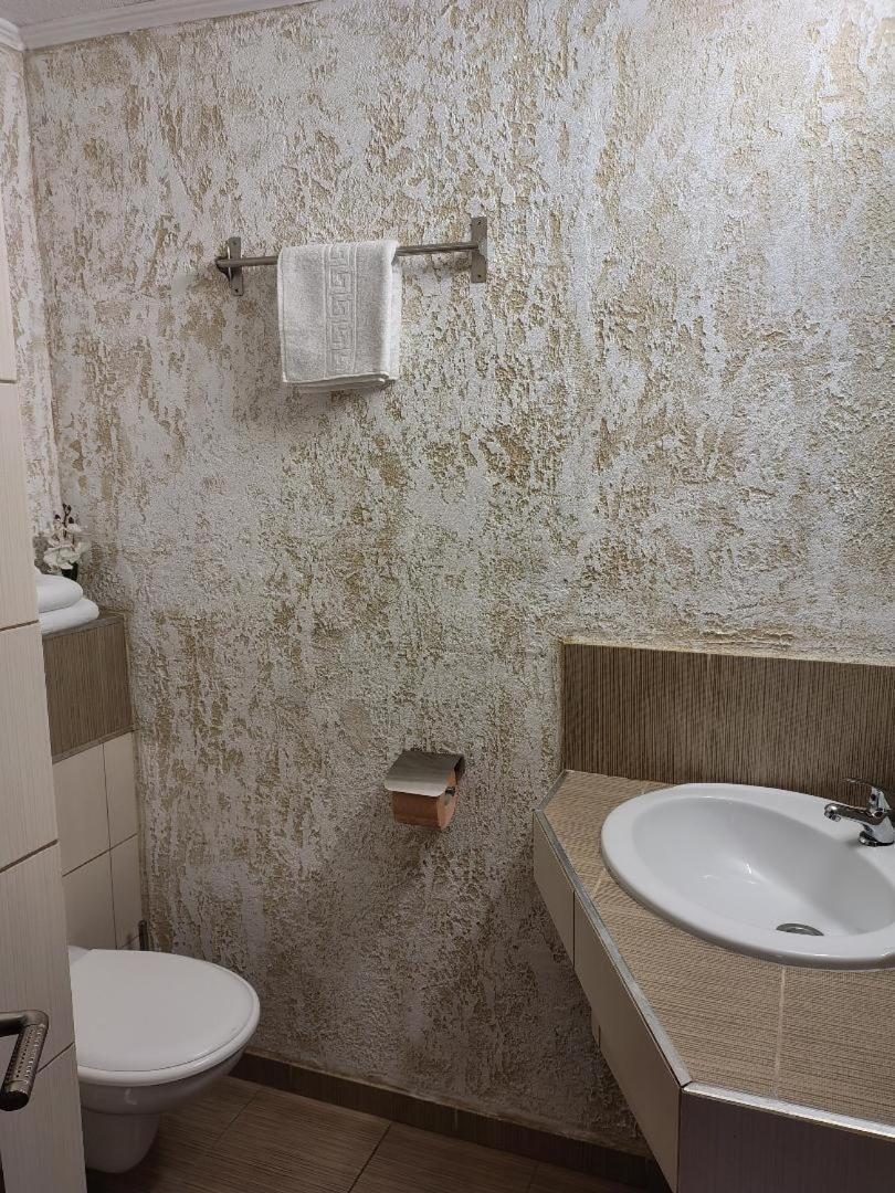 Vis Pension Viile Satu Mare Exterior foto