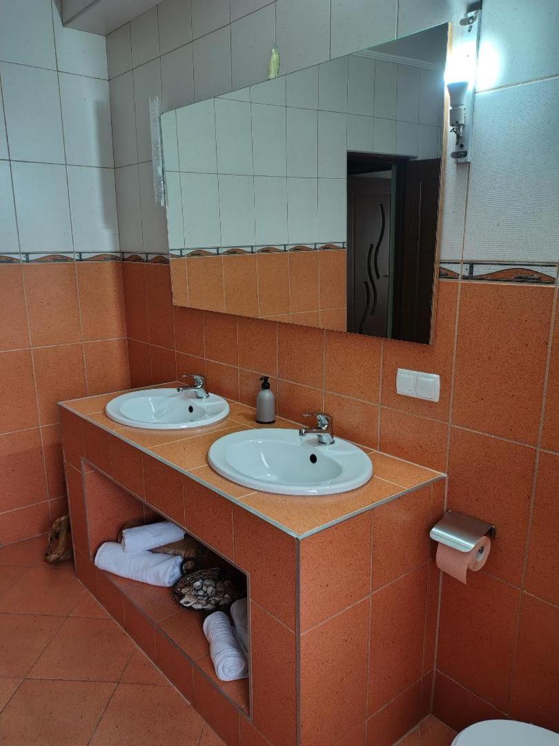 Vis Pension Viile Satu Mare Exterior foto