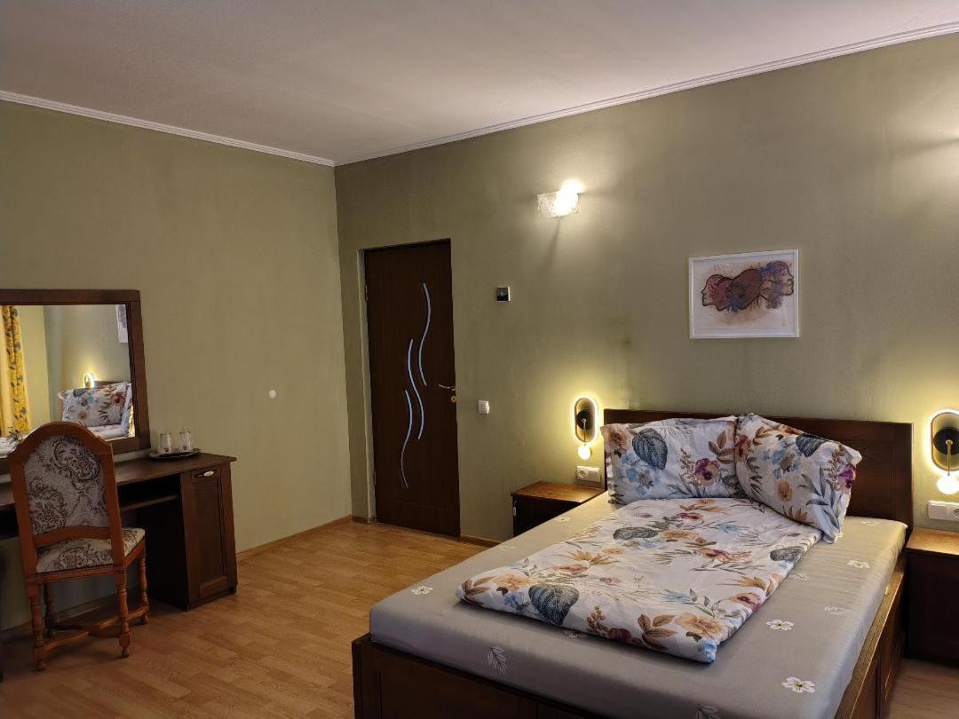 Vis Pension Viile Satu Mare Exterior foto
