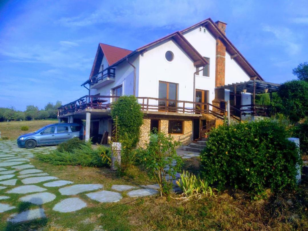 Vis Pension Viile Satu Mare Exterior foto