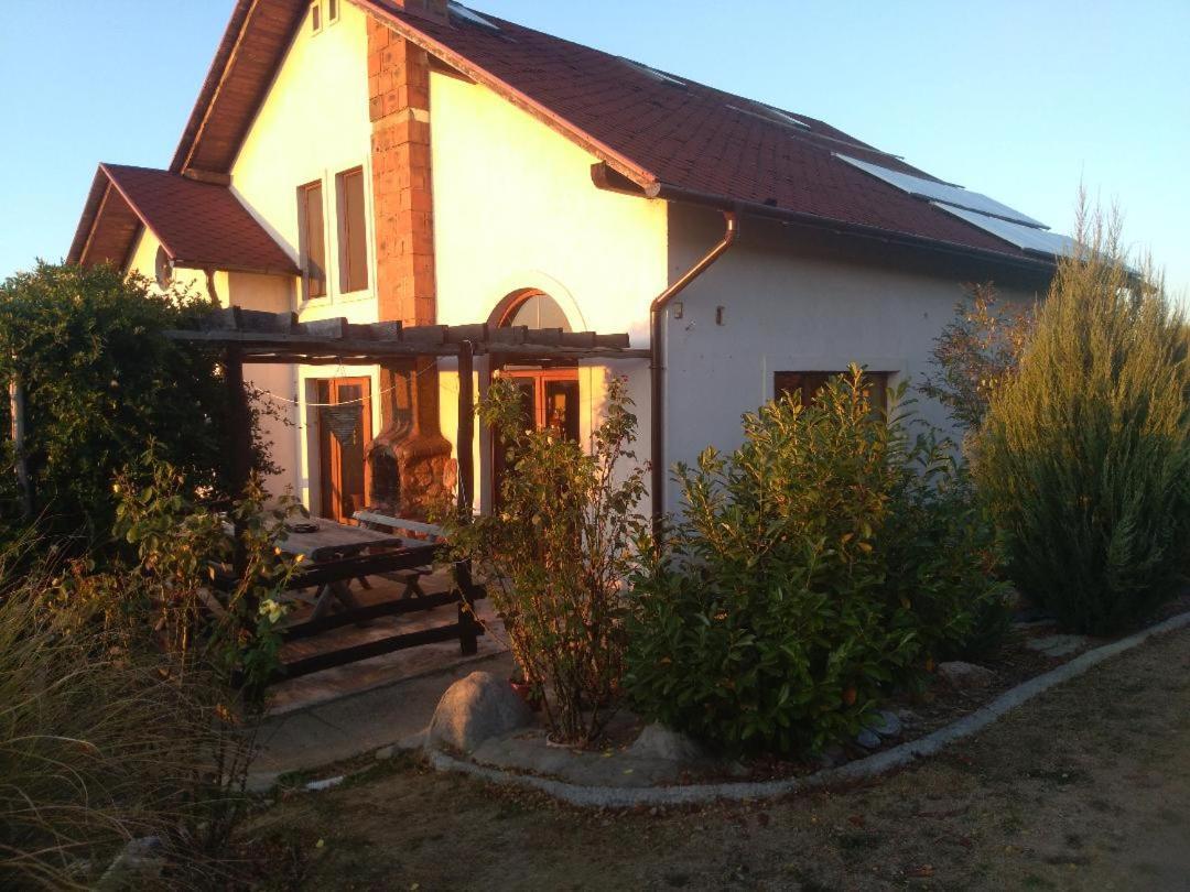 Vis Pension Viile Satu Mare Exterior foto