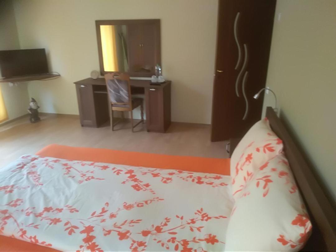 Vis Pension Viile Satu Mare Exterior foto
