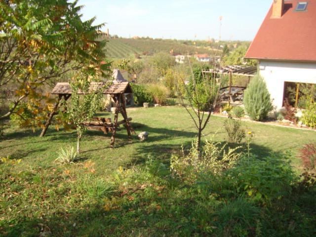 Vis Pension Viile Satu Mare Exterior foto