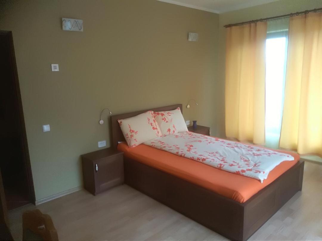 Vis Pension Viile Satu Mare Exterior foto