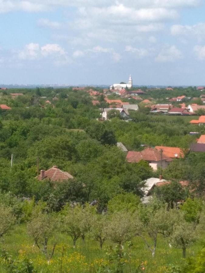Vis Pension Viile Satu Mare Exterior foto