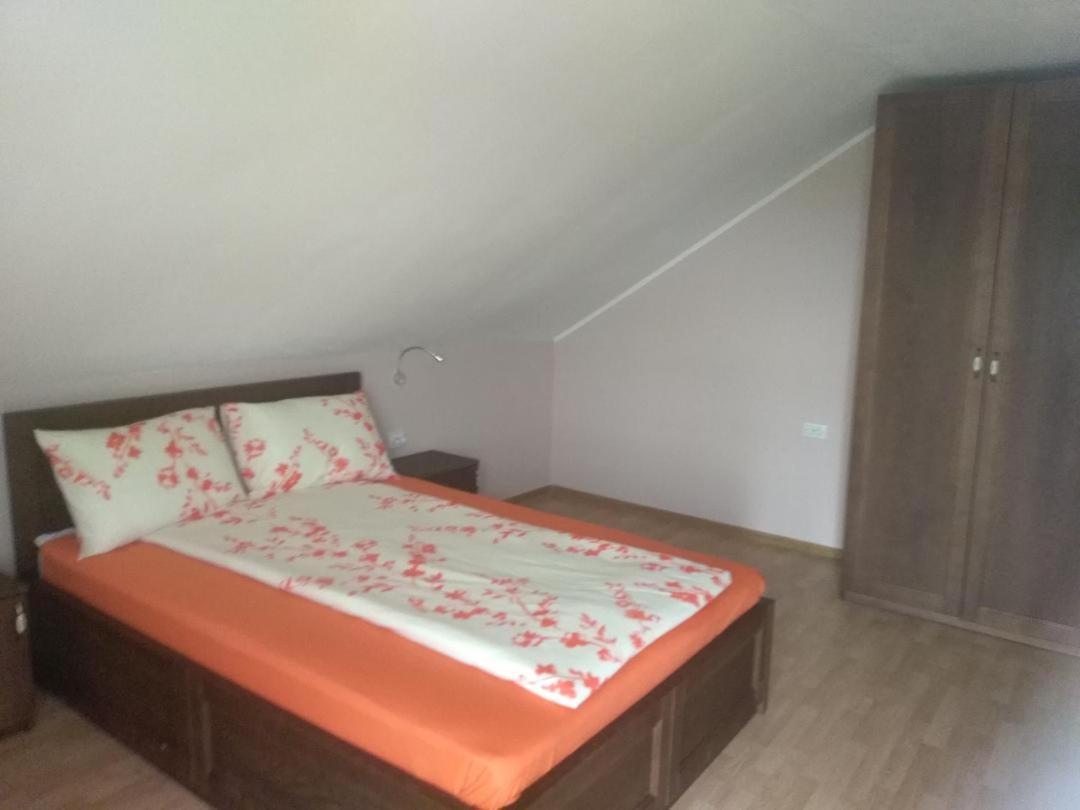 Vis Pension Viile Satu Mare Exterior foto