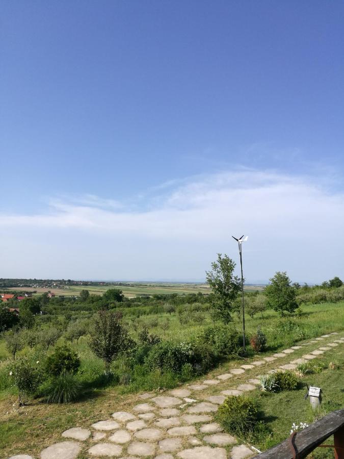 Vis Pension Viile Satu Mare Exterior foto