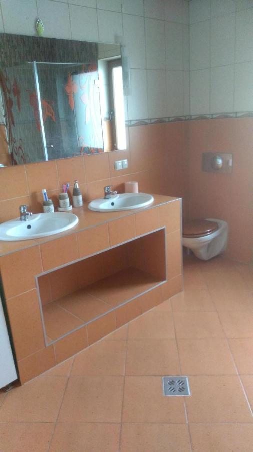 Vis Pension Viile Satu Mare Exterior foto