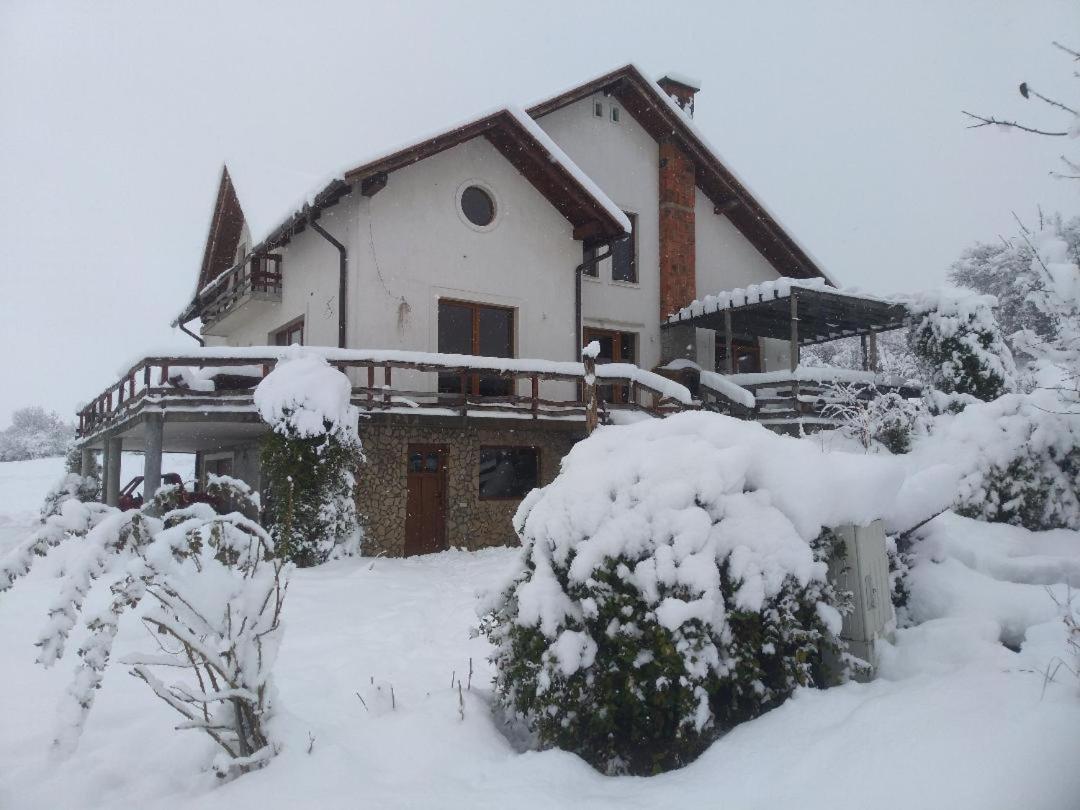 Vis Pension Viile Satu Mare Exterior foto