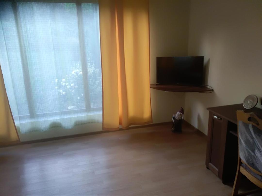 Vis Pension Viile Satu Mare Exterior foto