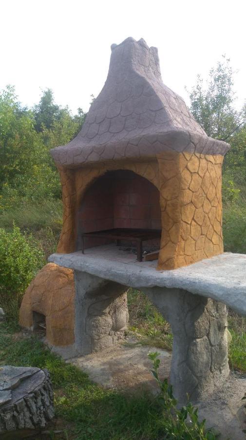 Vis Pension Viile Satu Mare Exterior foto