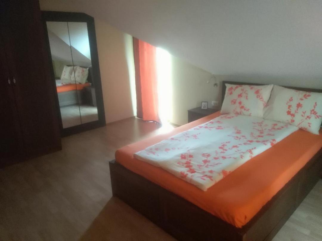 Vis Pension Viile Satu Mare Exterior foto