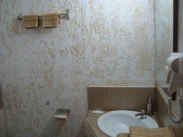 Vis Pension Viile Satu Mare Exterior foto
