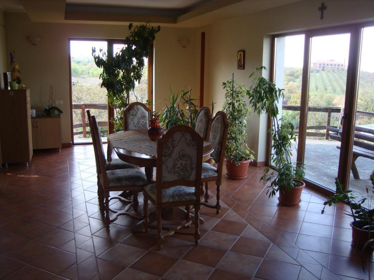 Vis Pension Viile Satu Mare Exterior foto